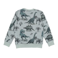 Dinosaurland-Sweatshirt
