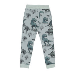Dinosaurland-Jogger