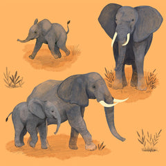 Sleeveless Rompers Made of Cotton (Organic)