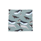 The Great Whales - Loop