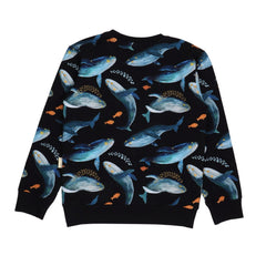 Humpback Whales-Sweatshirt 98