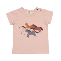 Baby Horses - Cotton (Organic)