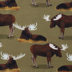 Long-sleeved shirt made of cotton (organic)