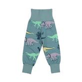 Running Dinosaurs-Pants