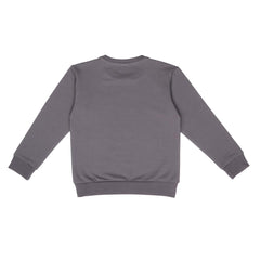 pullover sweatshirt made of cotton (organic)