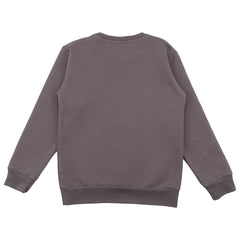Pullover-Sweatshirt aus Baumwolle (Bio)