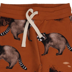 Curious Raccoons-Jogger