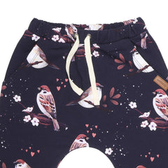 cotton jogging pants (organic)