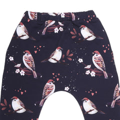 cotton jogging pants (organic)