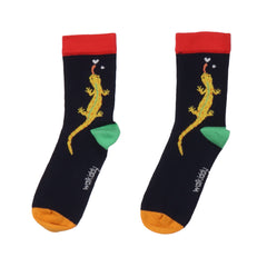 Colorful Salamanders – Organic Cotton Socks for Kids, Sustainable and Stylish