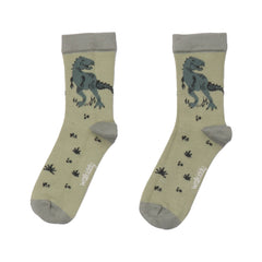 Dinosaur socks made from organic cotton – comfort and sustainability for little explorers