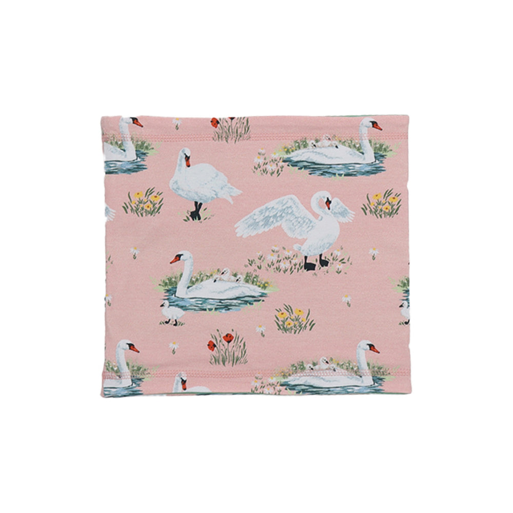 Swans in Spring-Loop