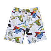 cotton shorts (organic)