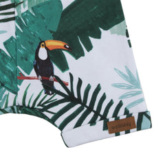 Shorts aus Baumwolle (Bio)