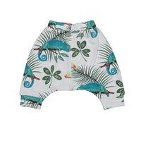 Shorts aus Baumwolle (Bio)