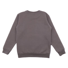 Pullover-Sweatshirt aus Baumwolle (Bio)