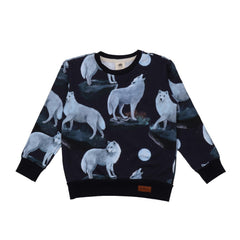 Pullover-Sweatshirt aus Baumwolle (Bio)