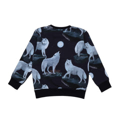 Pullover-Sweatshirt aus Baumwolle (Bio)