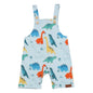 Baby Dinosaurs - Cotton (Organic)