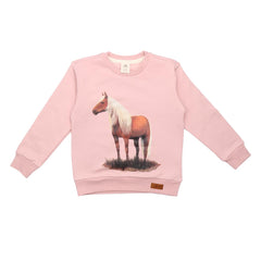pullover sweatshirt made of cotton (organic)