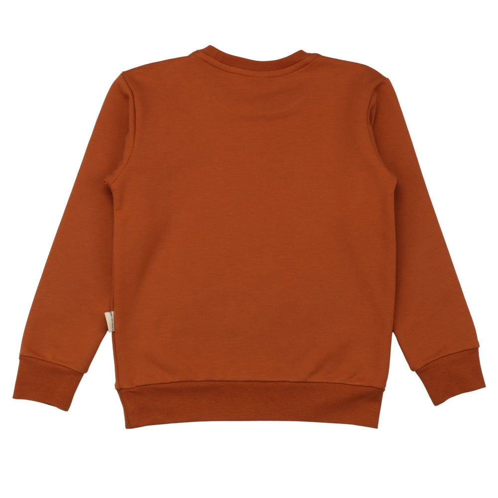 Brown-Sweatshirt 98