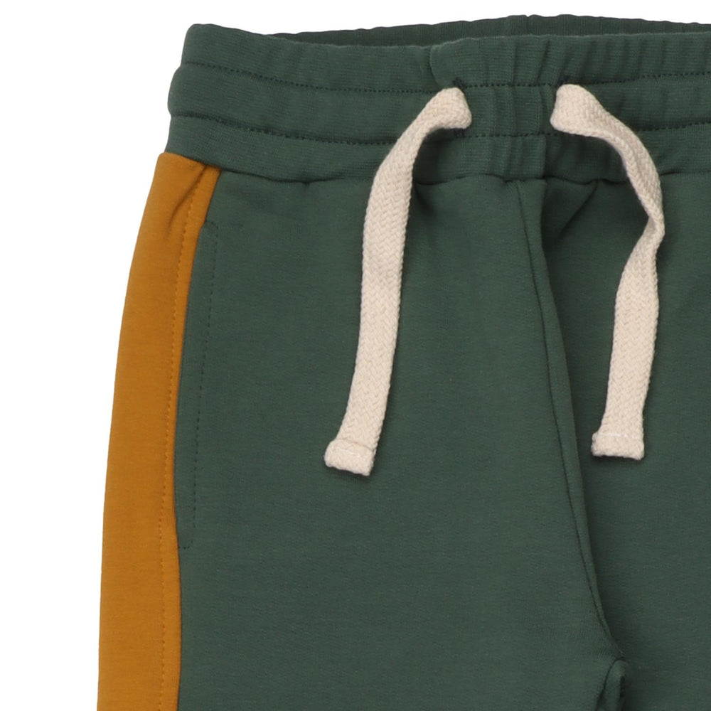 Fancy Peacocks-Jogger