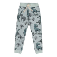 Dinosaurland-Jogger