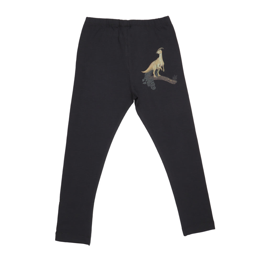 Dinosaur Jungle - Baumwolle (Bio)