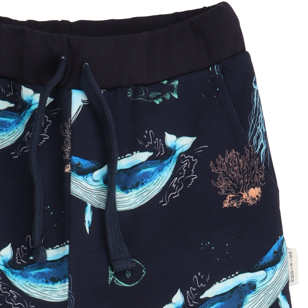 The Dancing Whales-Jogger