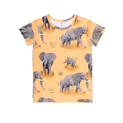T-shirt made of cotton (organic)