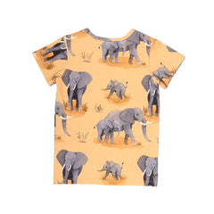 T-shirt made of cotton (organic)