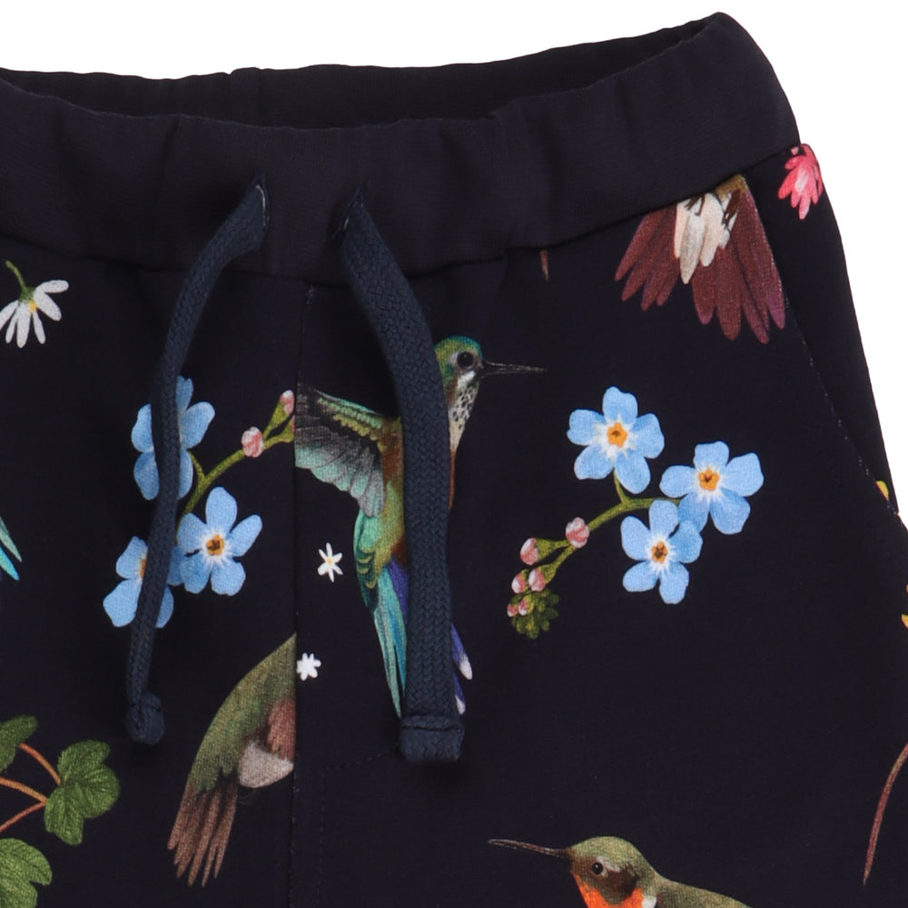 Hummingbirds Around Flowers-Jogger