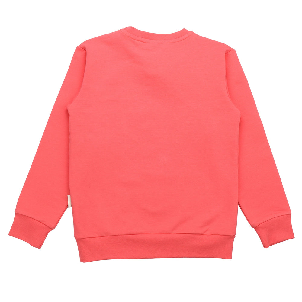 Hummingbirds Around Flowers-Sweatshirt