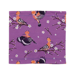 Happy Hoopoes-Loop