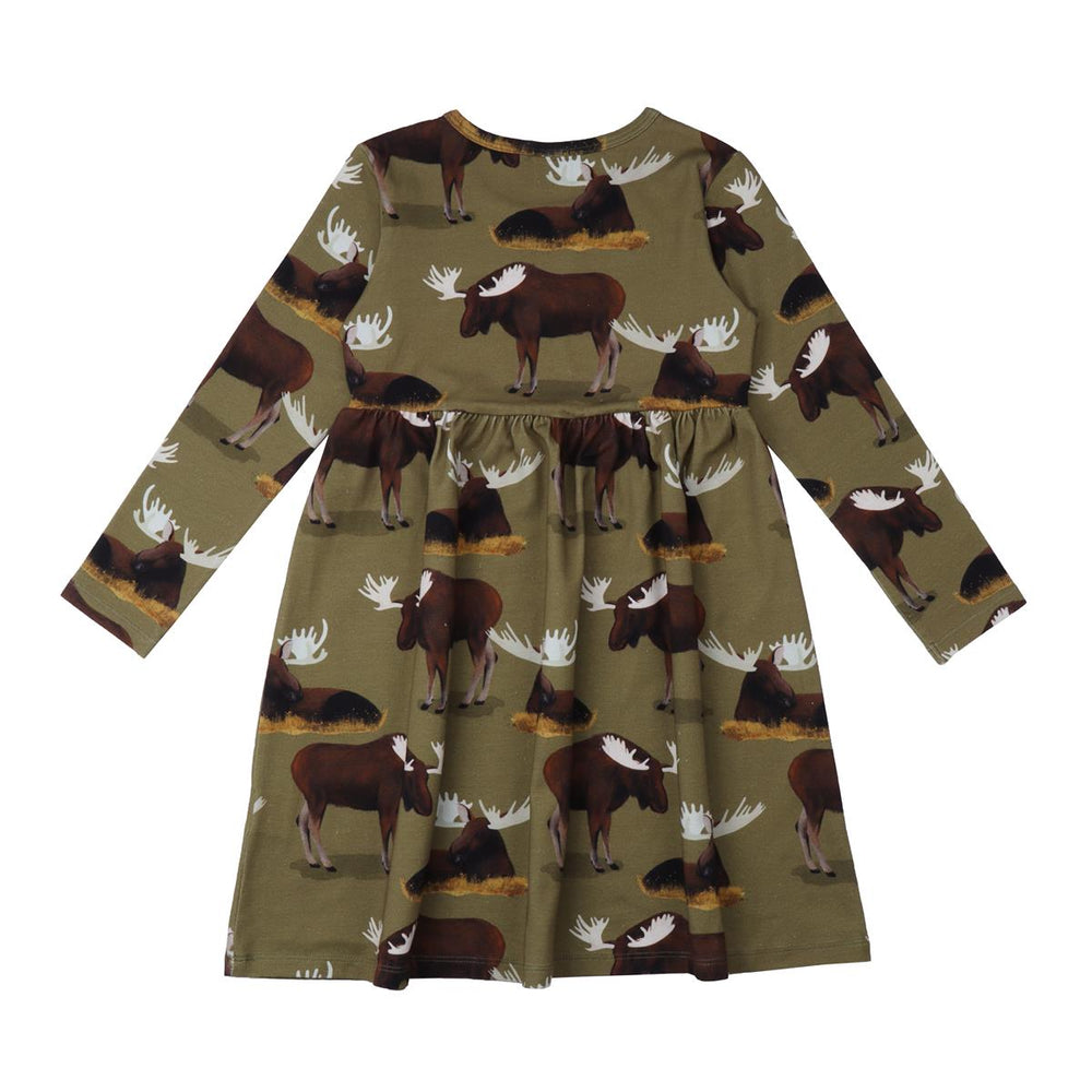 Langarm Kleid aus Baumwolle (Bio)