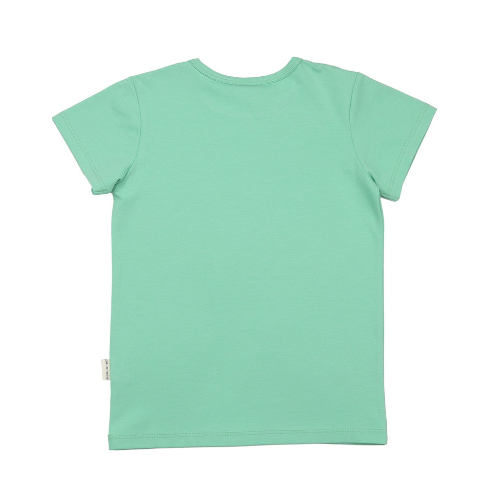 Running Dinosaurs-T-Shirt