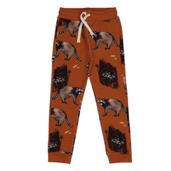Curious Raccoons-Jogger