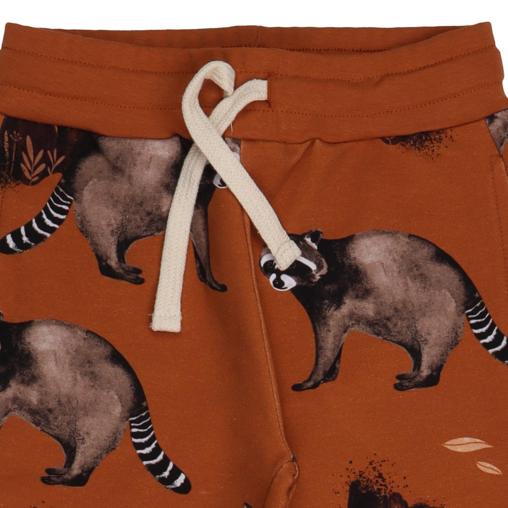 Curious Raccoons-Jogger