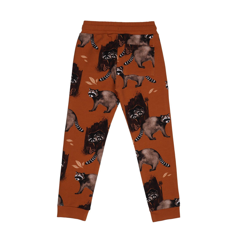 Curious Raccoons-Jogger