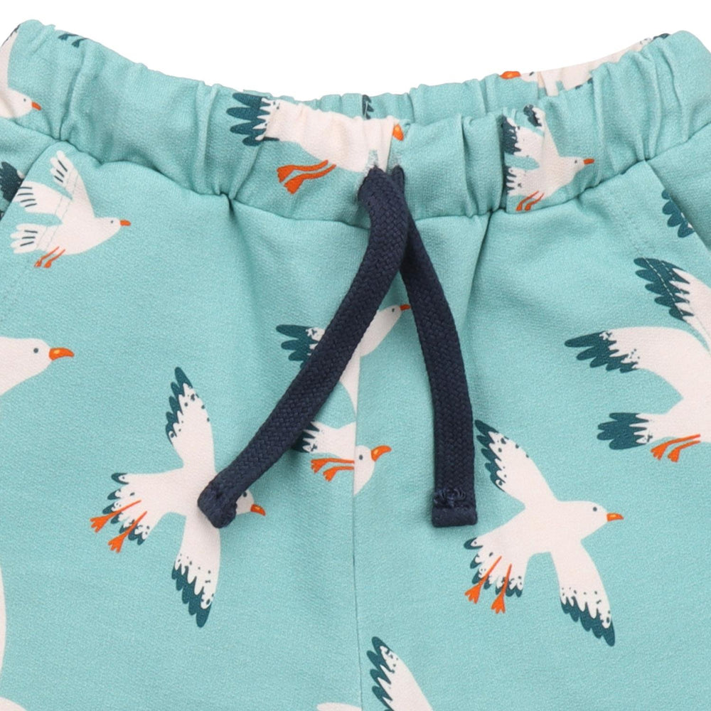 Seagulls-Shorts
