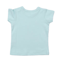 T-shirt made of cotton (organic)