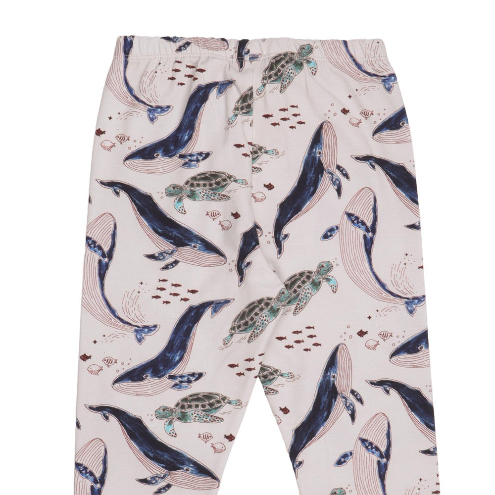 Whales & Sea Turtles - Leggings